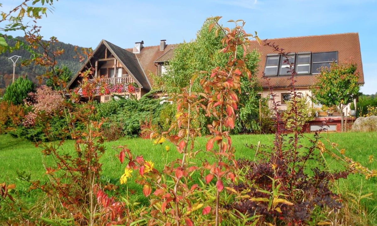 Thannenkirch Apartment | Homerez - Appt Thannenkirch, Mountain View