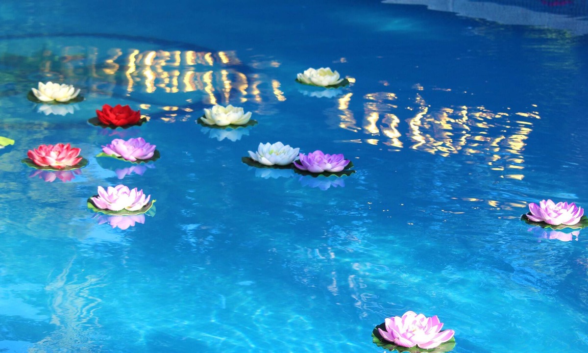 Los Arenales del Sol Apartment | Homerez - Comfortable Apartment in Elche