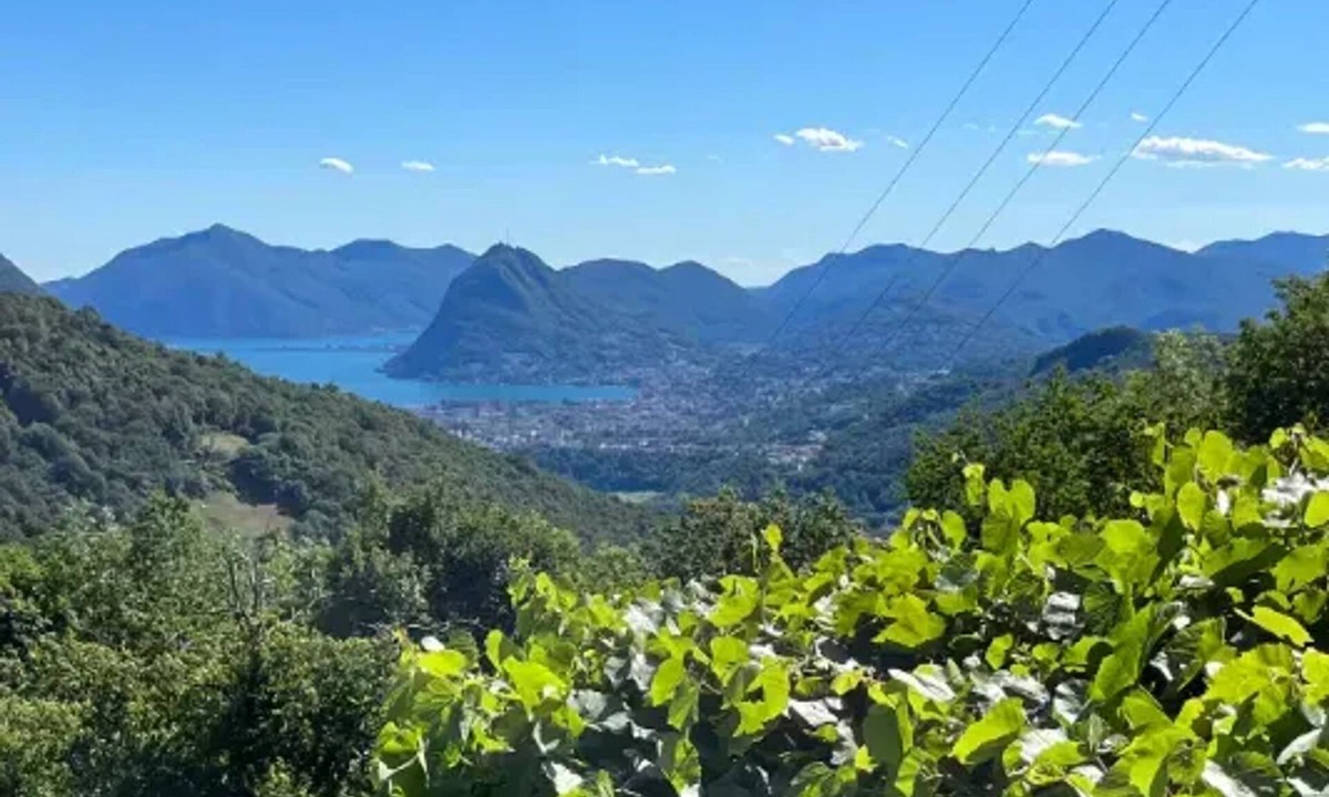 Bidogno House | Homerez - Detached House Capriasca