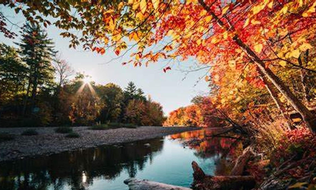 Saint-Germain-dEsteuil House | Homerez - Spacious house for 5 ppl. with shared pool at Saint-Germain-d'Esteuil