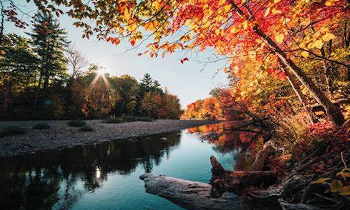 Saint-Germain-dEsteuil House | Homerez - House in Saint-Germain-d'Esteuil