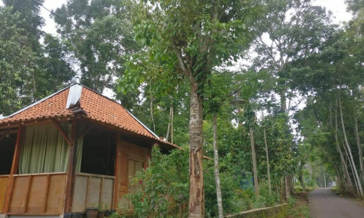 Muntuk Hostel | Homestay An-Nur - Hostel