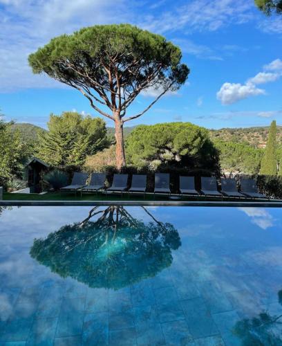 Bormes-Les-Mimosas House | HomeStay Bormes