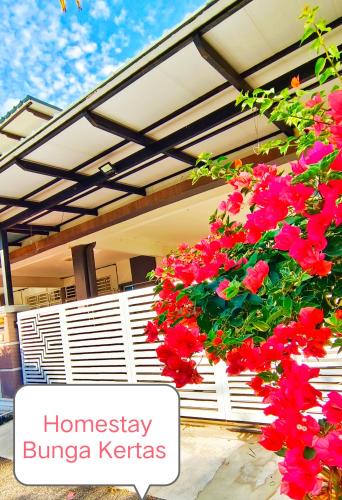 Jitra House | Homestay Bunga Kertas Jitra