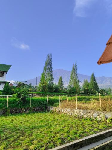 Lombok House | Homestay Hidayah Sembalun