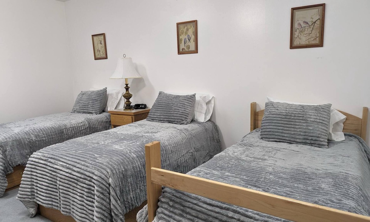 Hot Springs Cabin | Homey Room For Three - Room 111