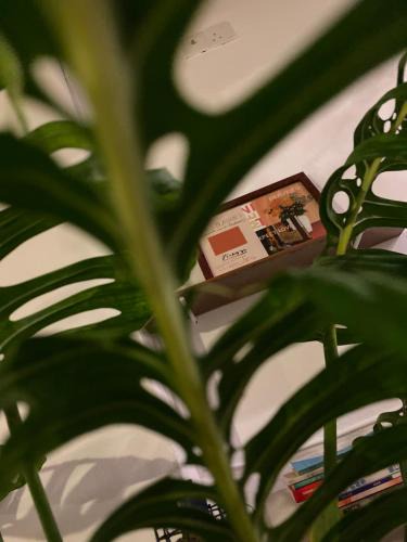 Chinatown Hostel | Homs Female Hostel