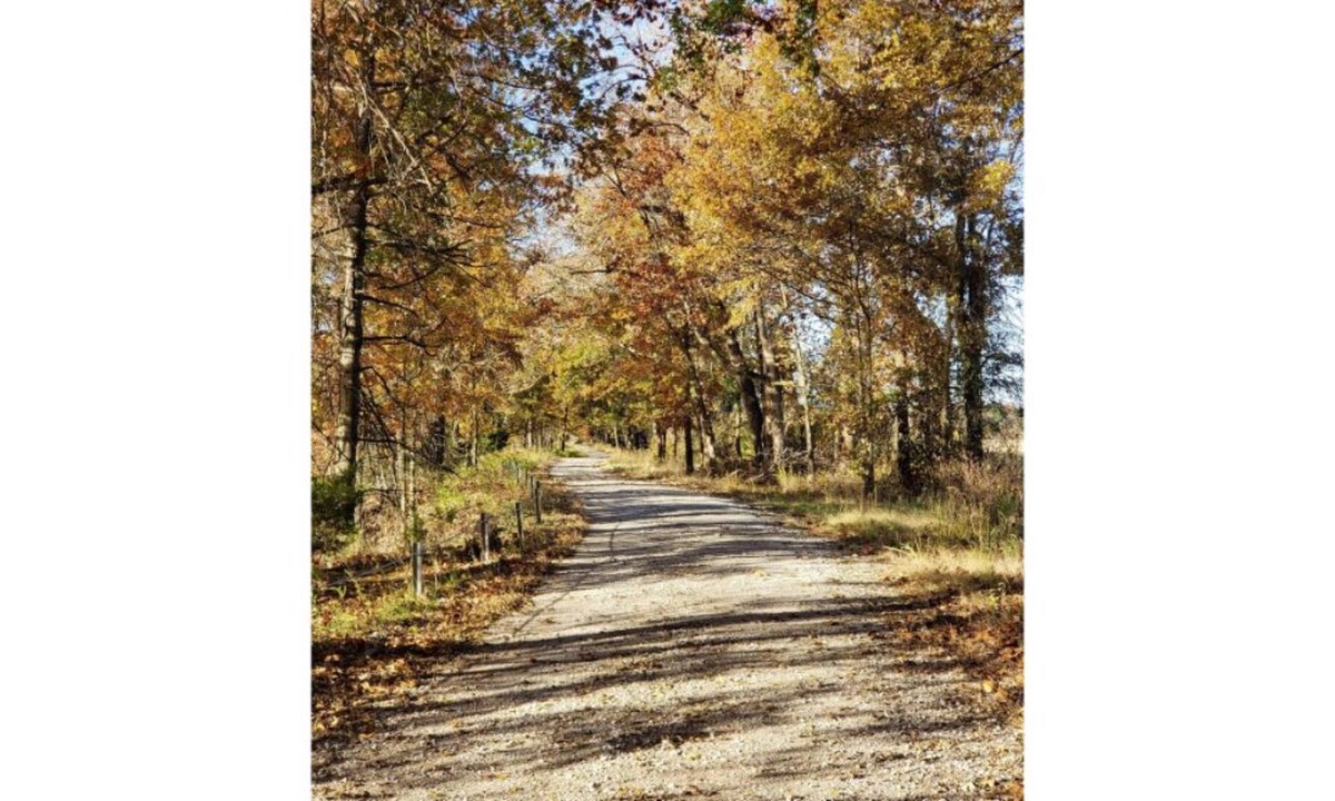 Henry County Cabin | Honey Creek Hideaway at Back Country Camp