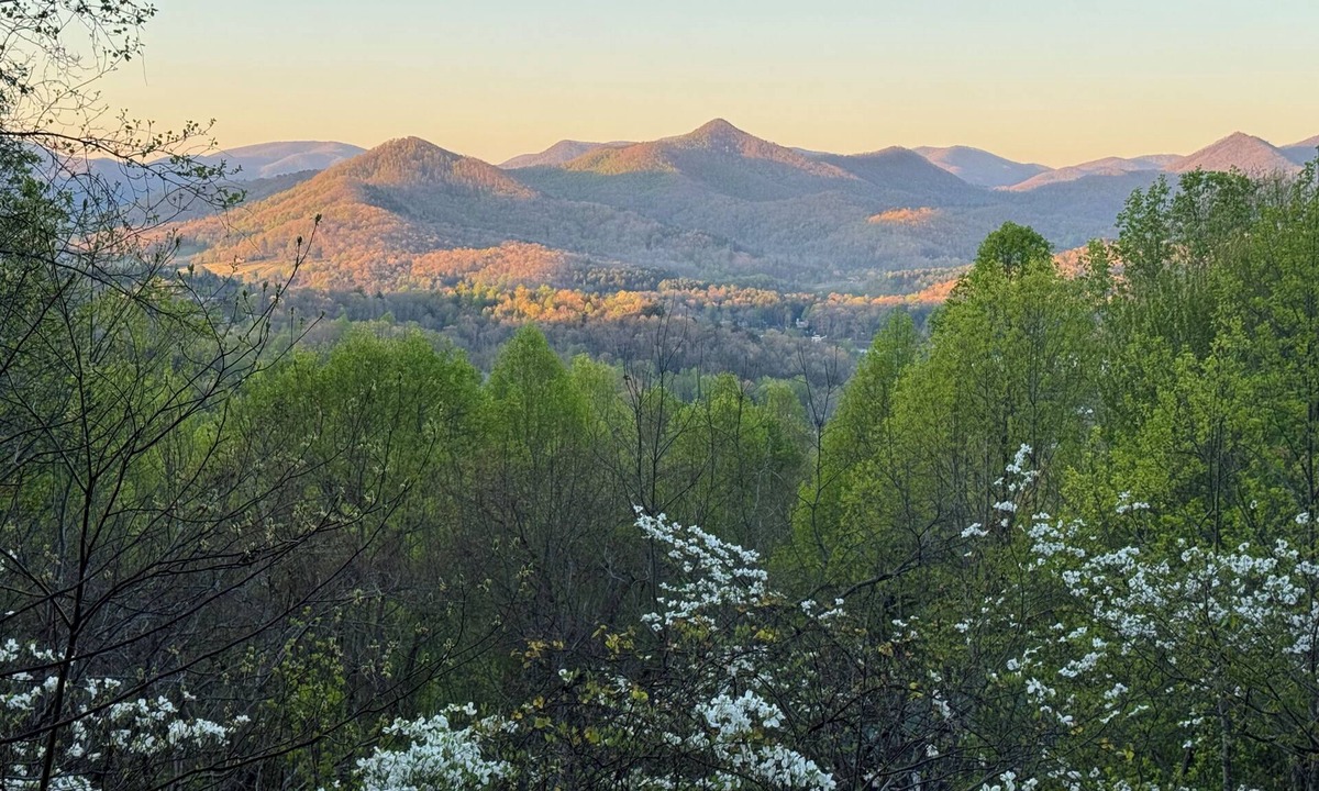 Hiawassee Cabin | Honey Lodge, Mtn View, Master Main, Dogs Welcome