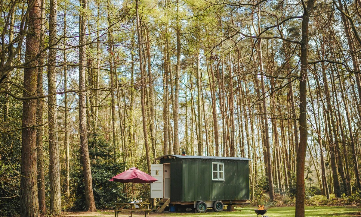 Melton Constable Cottage | Honeysuckle Hut-QU7066