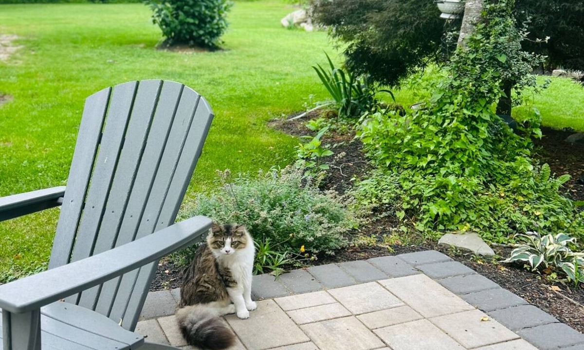 Oxford House | Horse Heaven