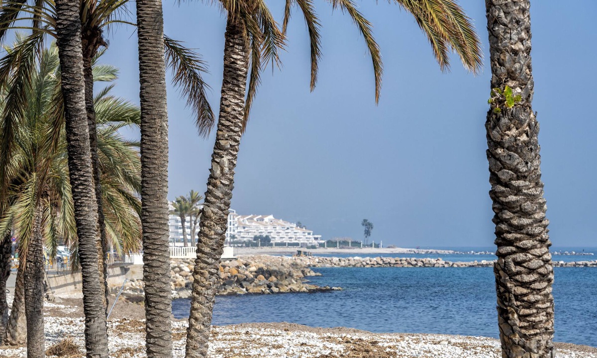 Altea Hostel | Hostal Altea House