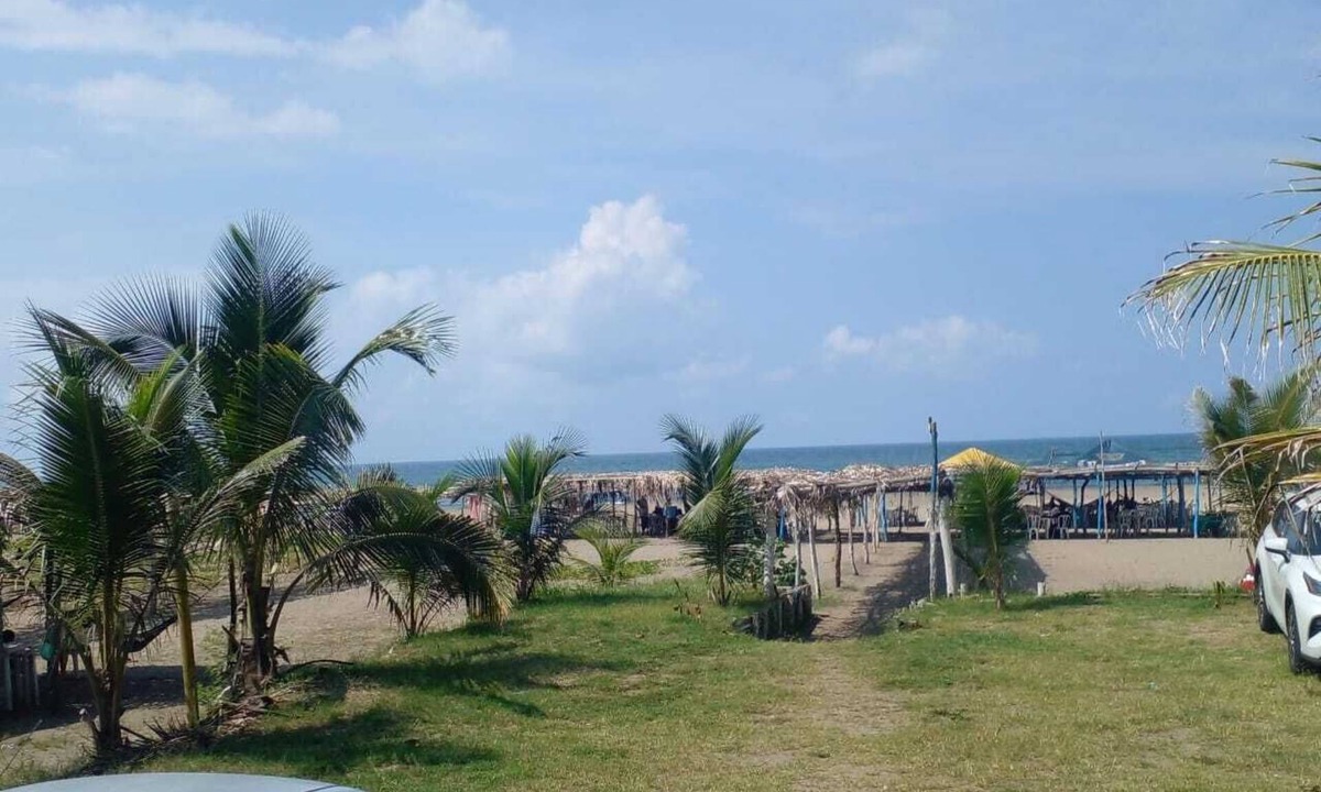 Sontecomapan Hostel | hostal