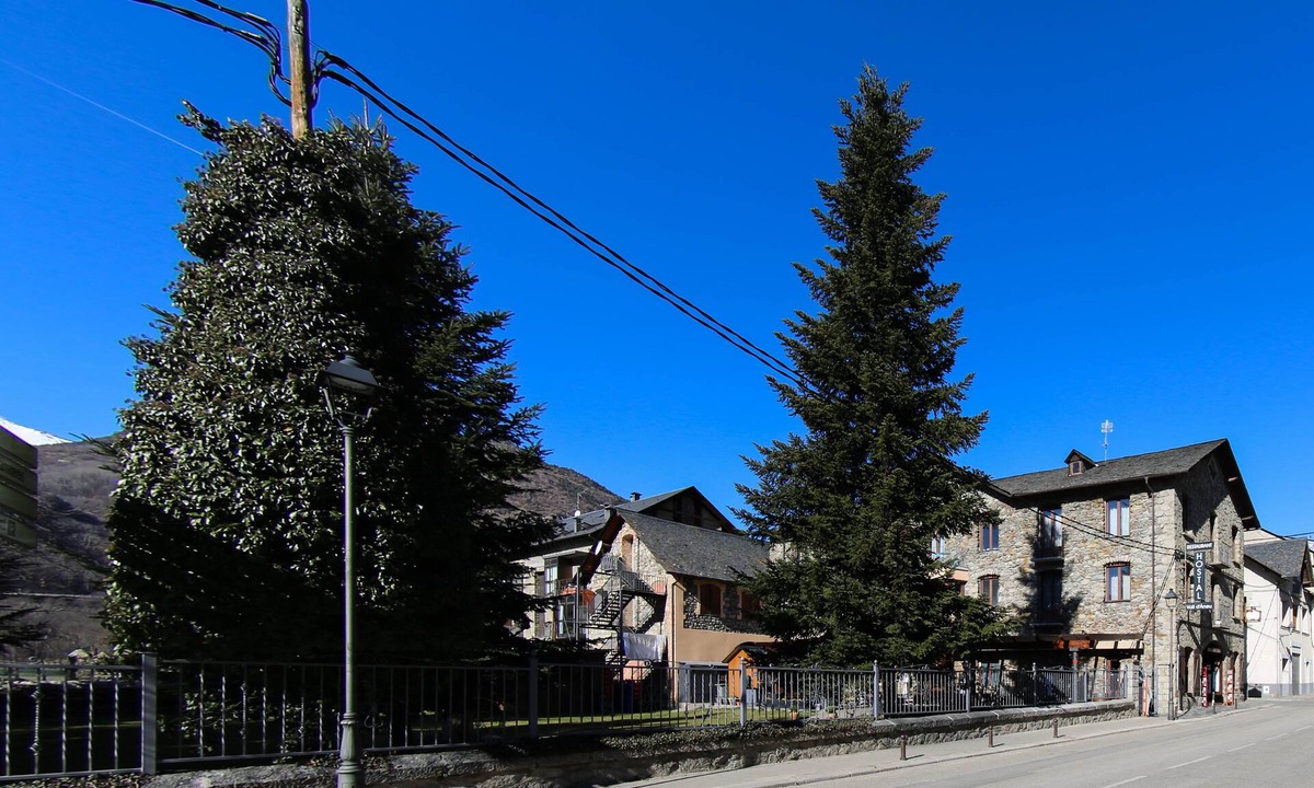 Esterri D'Aneu Hostel | Hostal Vall d'Aneu