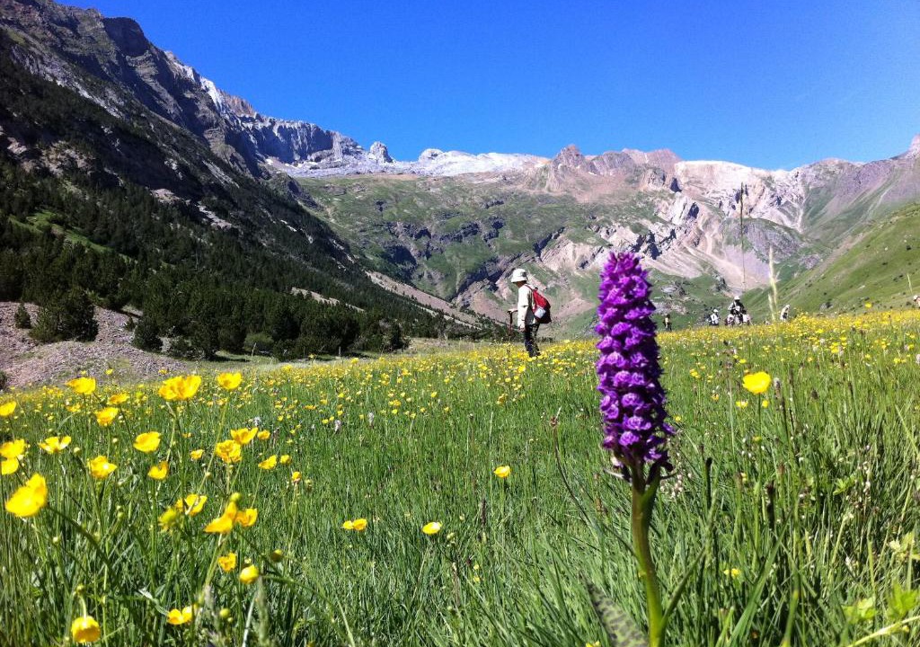 Torla-Ordesa Hostel | Hostel-Albergue Monte Perdido