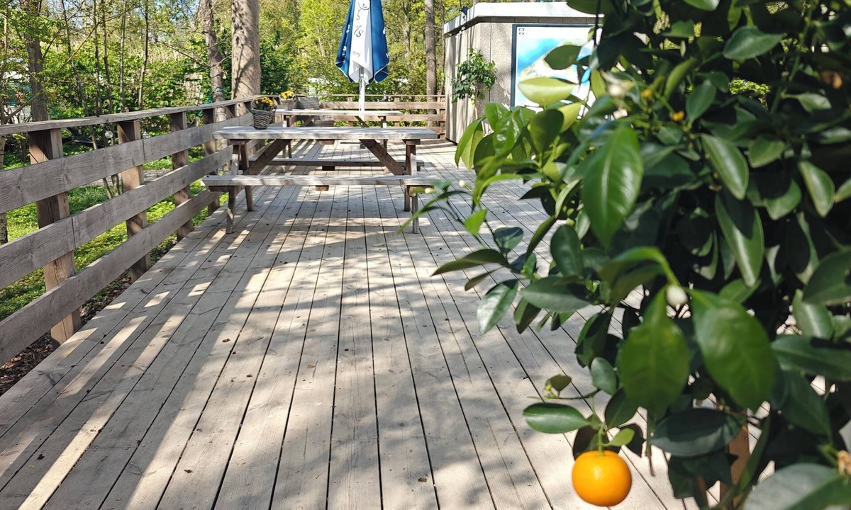 Halsnæs Kommune Hostel | Hostel & Camping Frederiksværk City