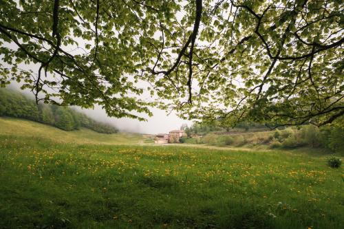 Bouvante Hostel | Hostel Quartier Libre
