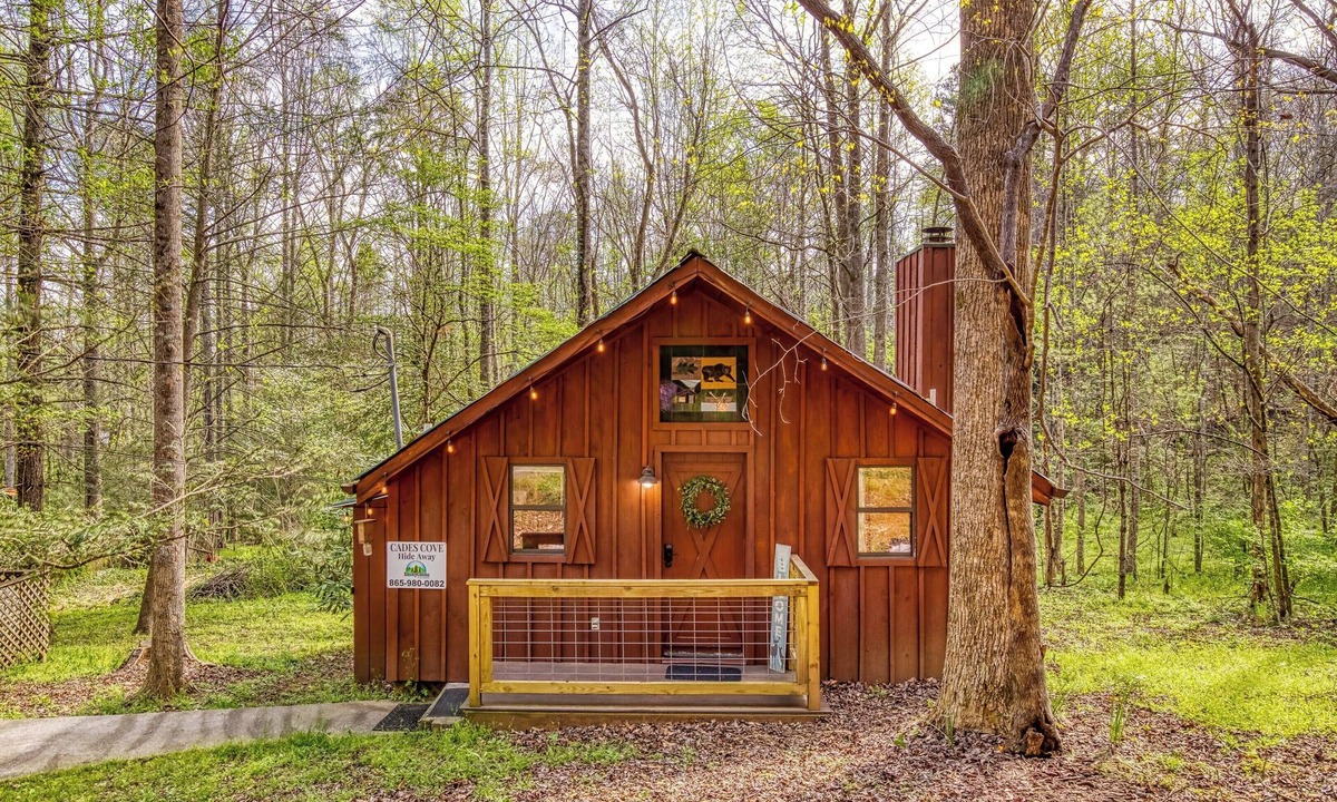 Townsend Cabin | Hot Tub - Gas Fireplace - King Bed - Secluded- Community Pool - Cozy