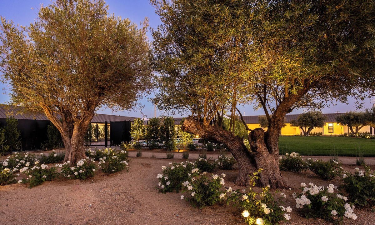 Salida Hotel | Hotel Bayit Modesto Salida