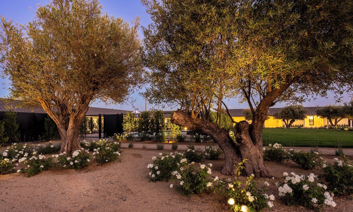 Salida Hotel | Hotel Bayit