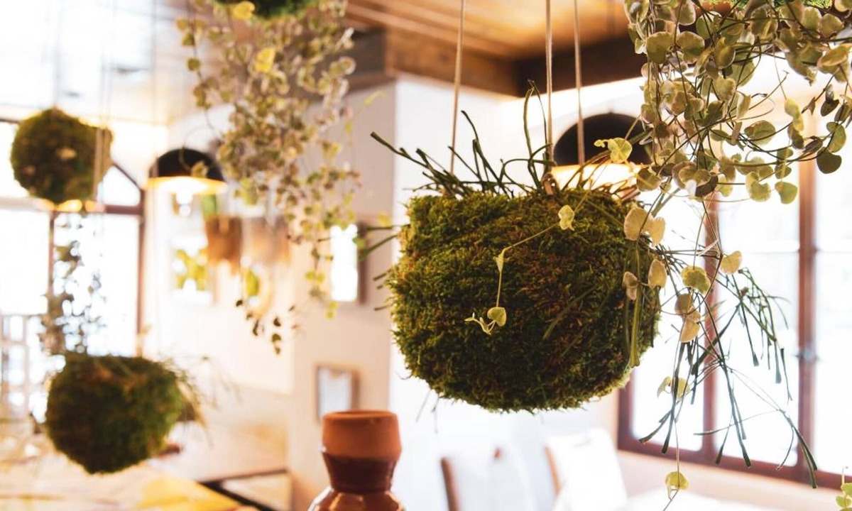 Zinal Hotel | Hotel Besso