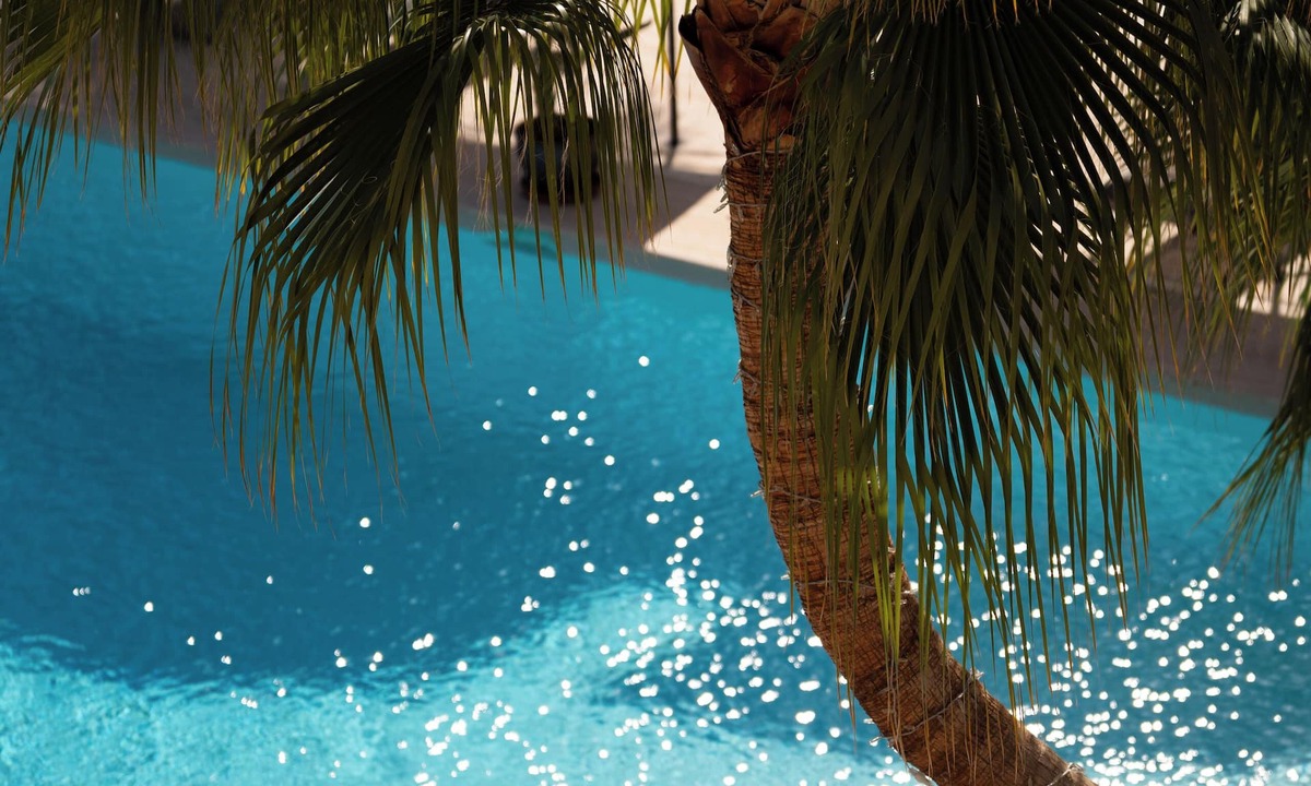 Elche Hotel | Hotel Boutique Hort de Nal