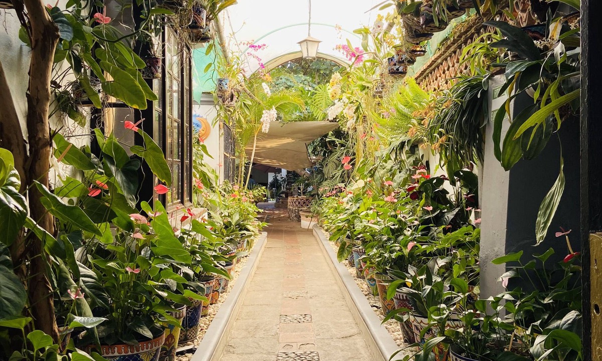 Central Cuernavaca Hotel | Hotel Boutique Villa Bonita Les Terrases