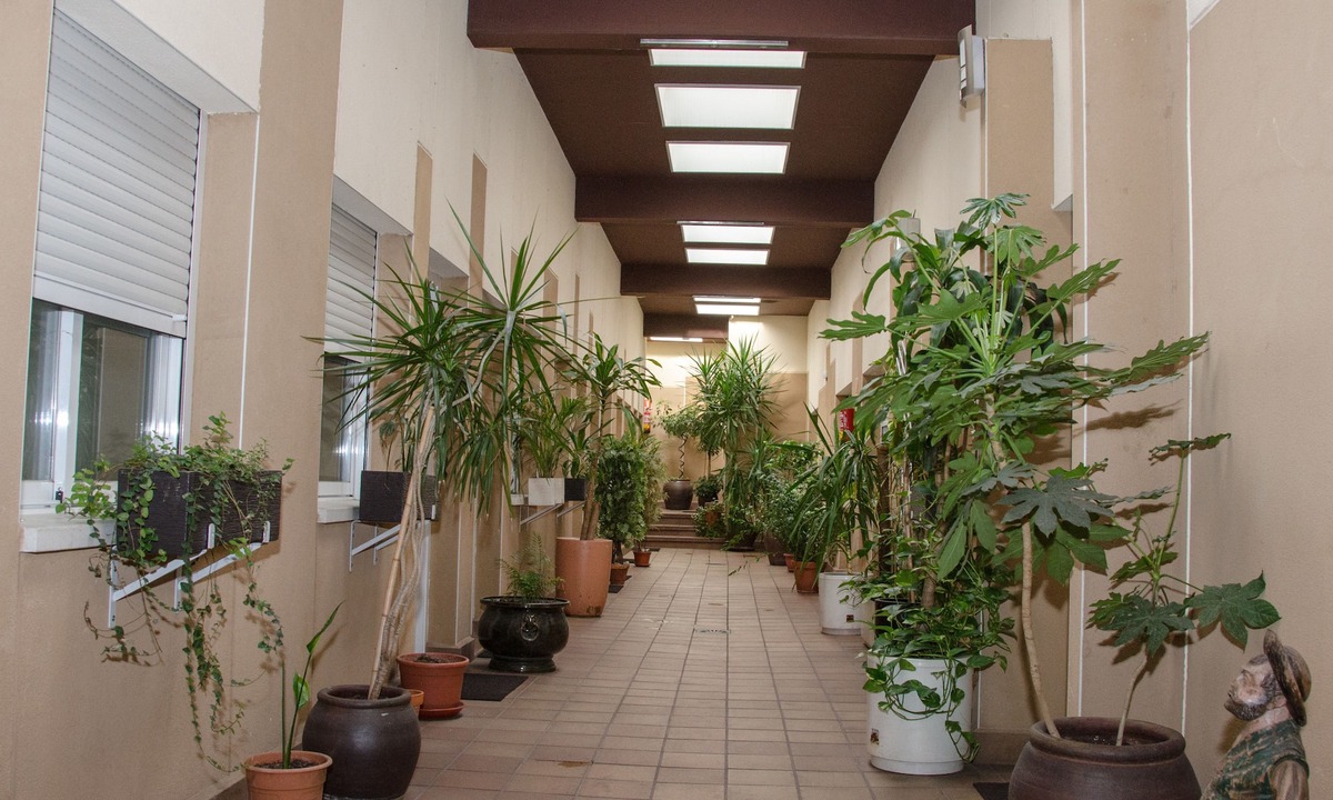 Alcala de Henares Hotel | Hotel Ciudad de Alcalá