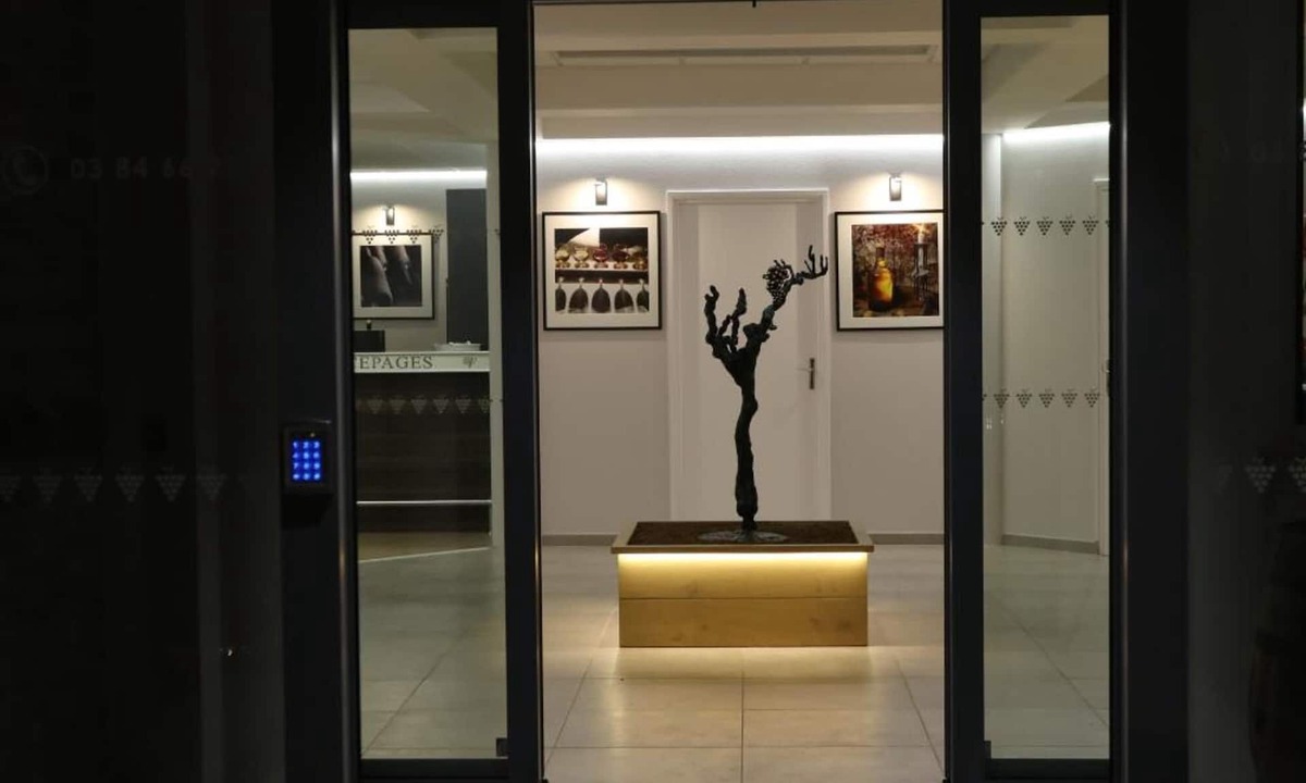 Arbois Hotel | Hotel des Cepages