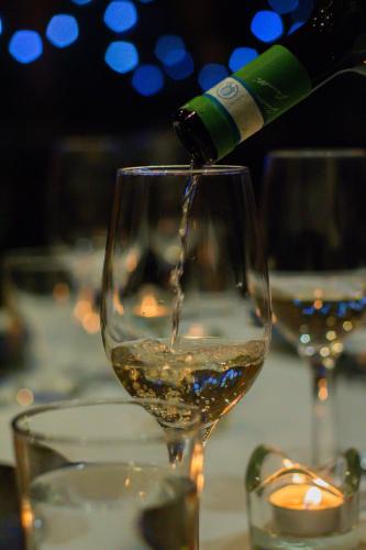 Ollon Hotel | Hotel du Lac