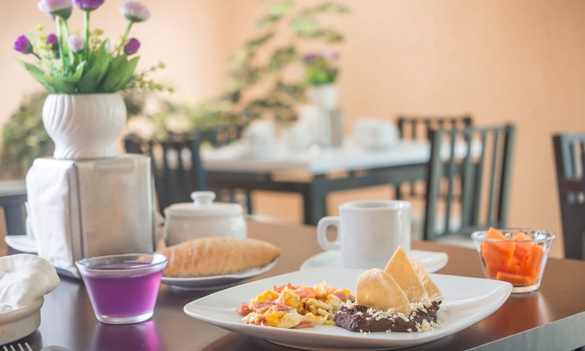 Emiliano Zapata Hotel | Hotel Express Alejandría