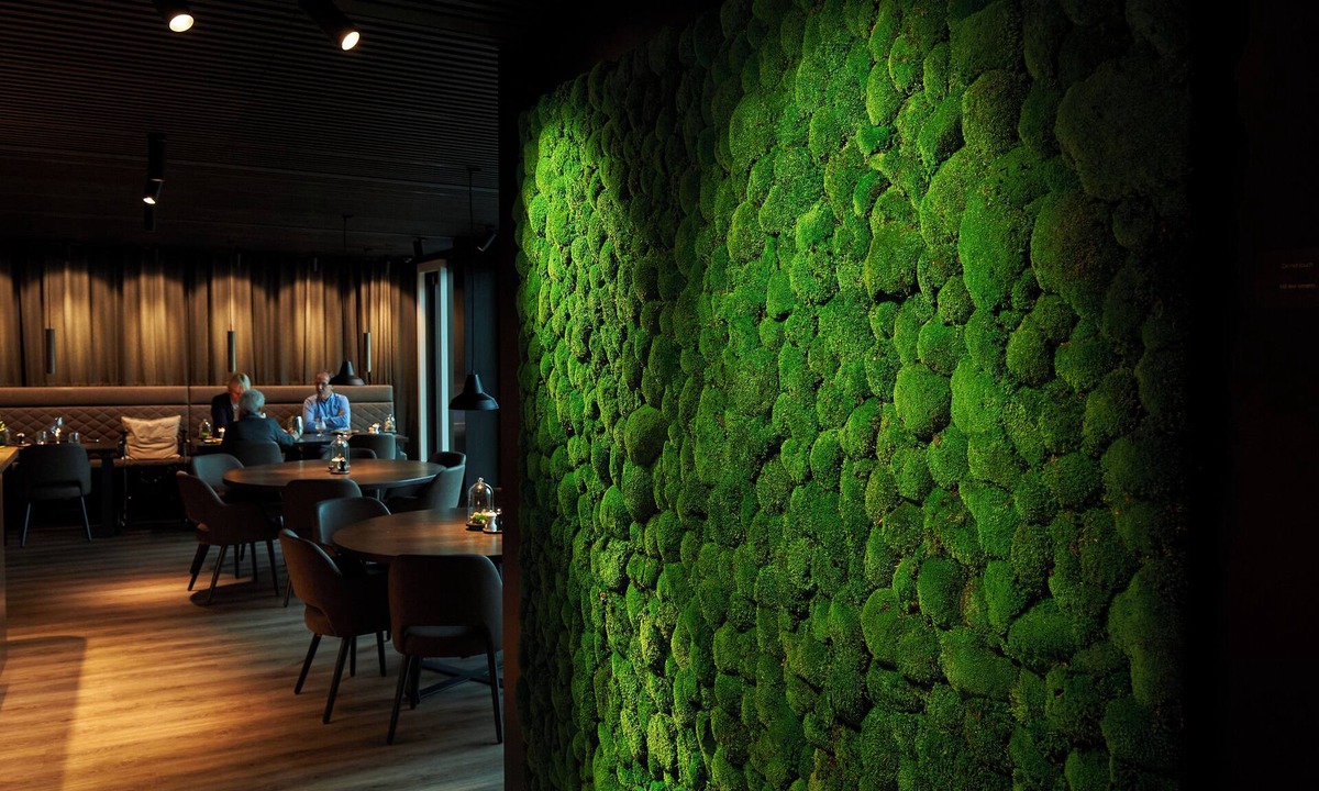 Vejle Hotel | Hotel Hedegaarden