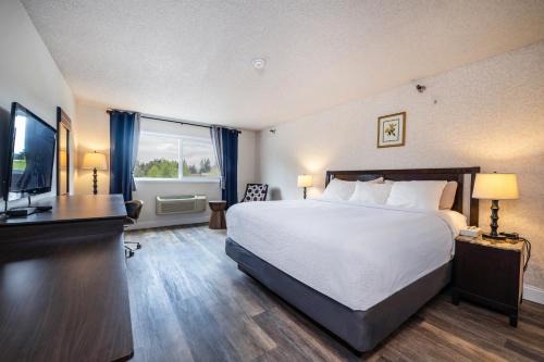 Lynnwood Hotel | Hotel International