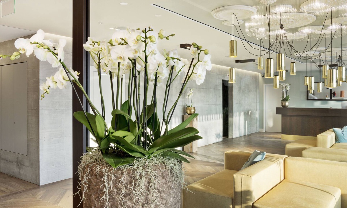 Aarau Hotel | Hotel Kettenbrücke