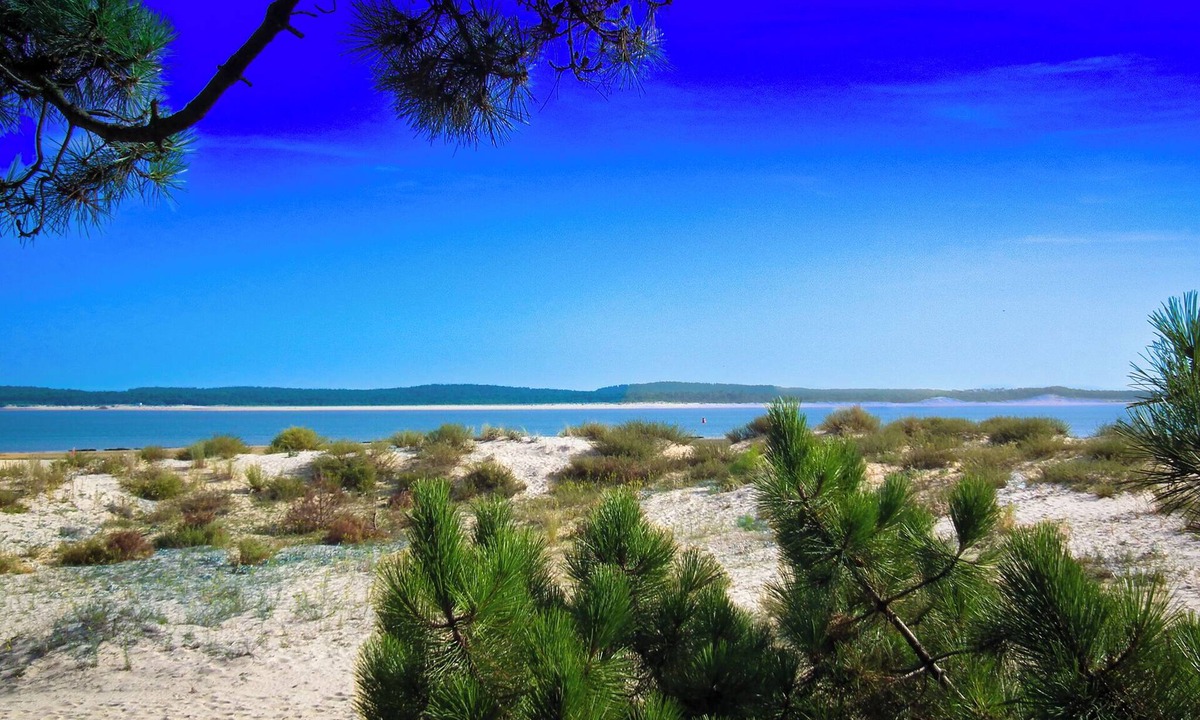 Saint-Trojan-les-Bains Hotel | Hotel le Coureau