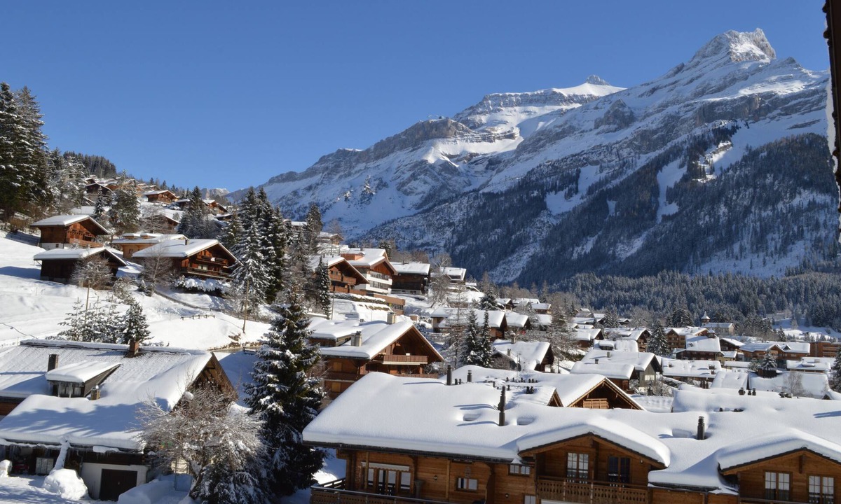 Ormont-Dessus Hotel | Hotel Le Chamois