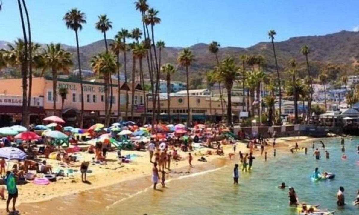 Avalon Hotel | Hotel Mac Rae