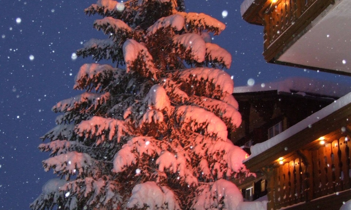 Sedrun Hotel | Hotel Mira