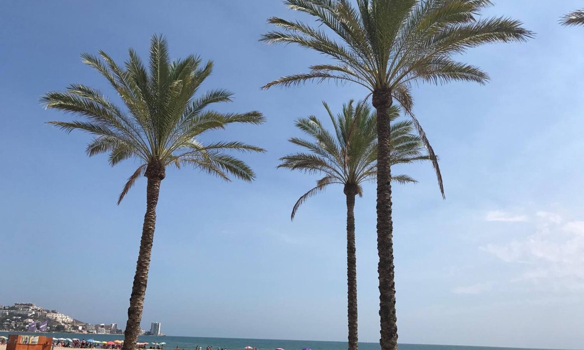 Cullera Hotel | Hotel Moon Dreams Cullera