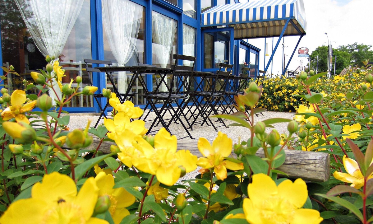 Saint-Gervais-la-Foret Hotel | Hotel Noctuel - Blois