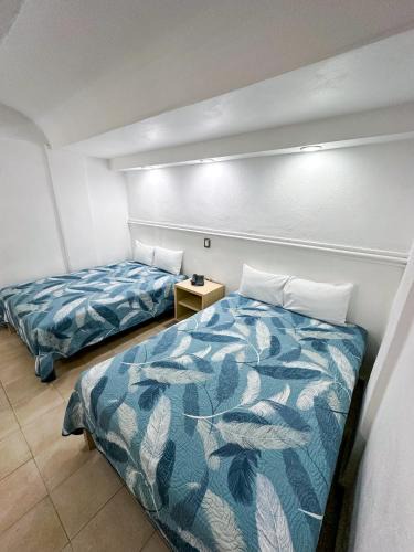 Leon Hotel | Hotel Nueva Zelanda