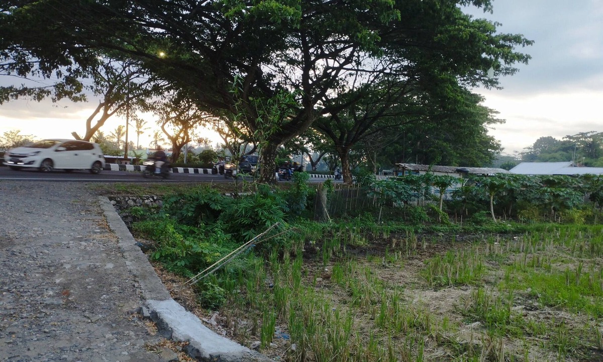 Kecamatan Kuripan Hotel | Hotel O Penginapan Mekar Sari Near PT. Lombok Menara Energygas
