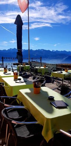 Rigi Kaltbad Hotel | Hotel Restaurant Alpina