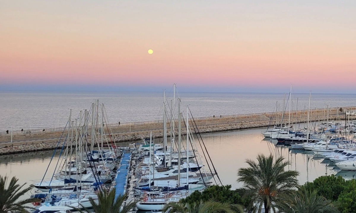 Grao de Gandia Hotel | Hotel San Luis