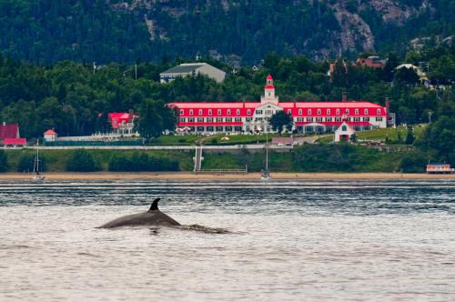 Tadoussac Hotel | Hotel Tadoussac