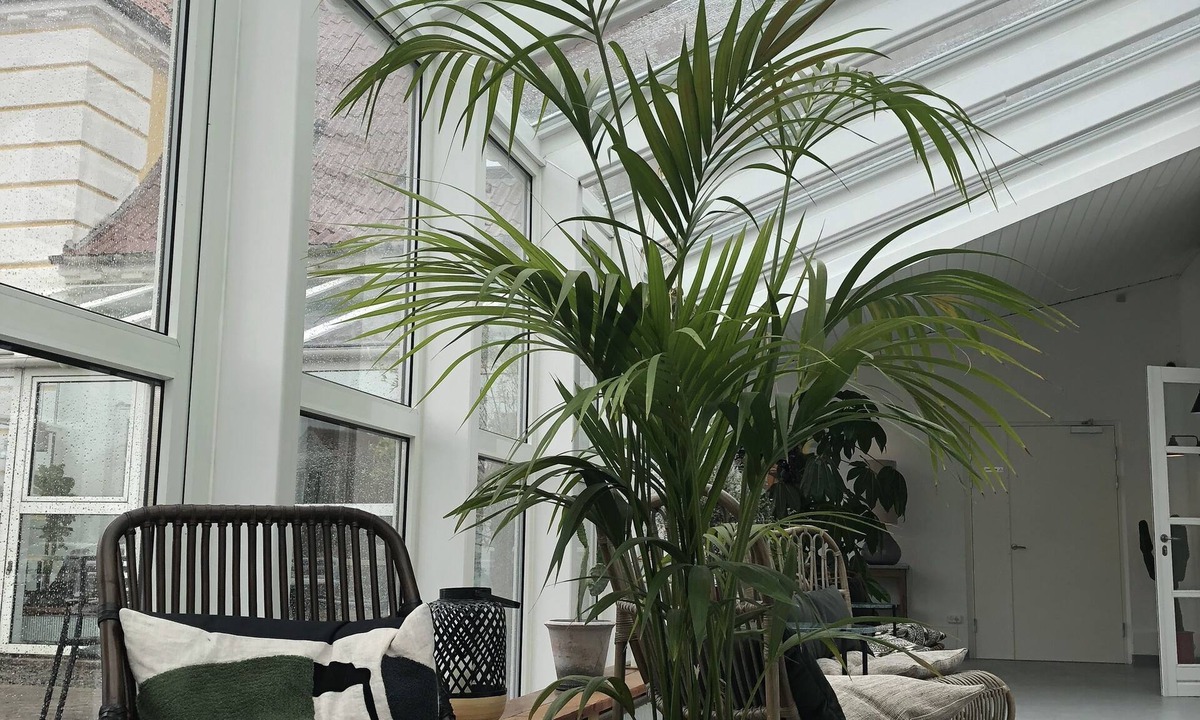 Lokken Hotel | Hotel VANDret