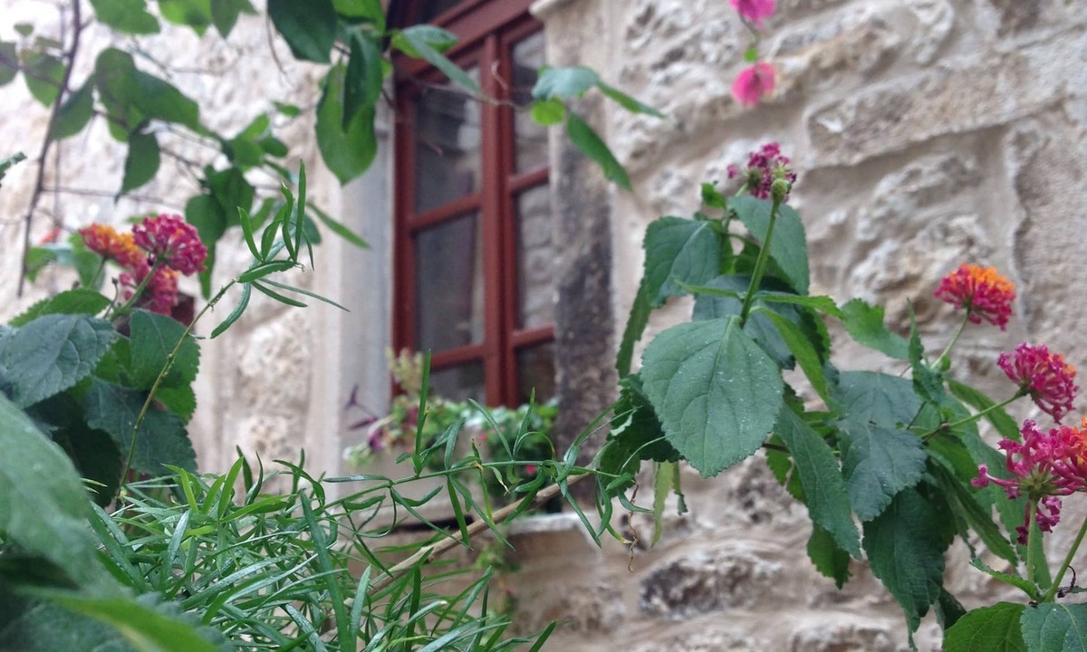 Hvar Old Town Hotel | Hotel Villa Nora