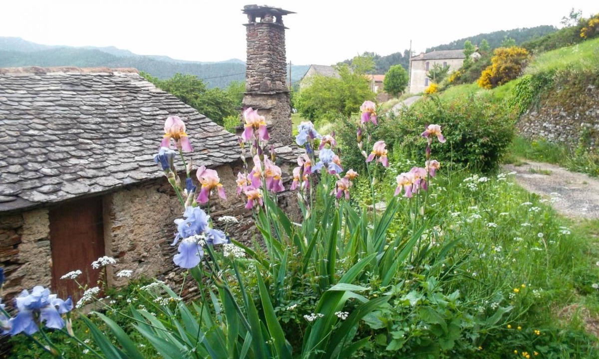 Navas House | House Cavalier 2/4 persons in Gabriac