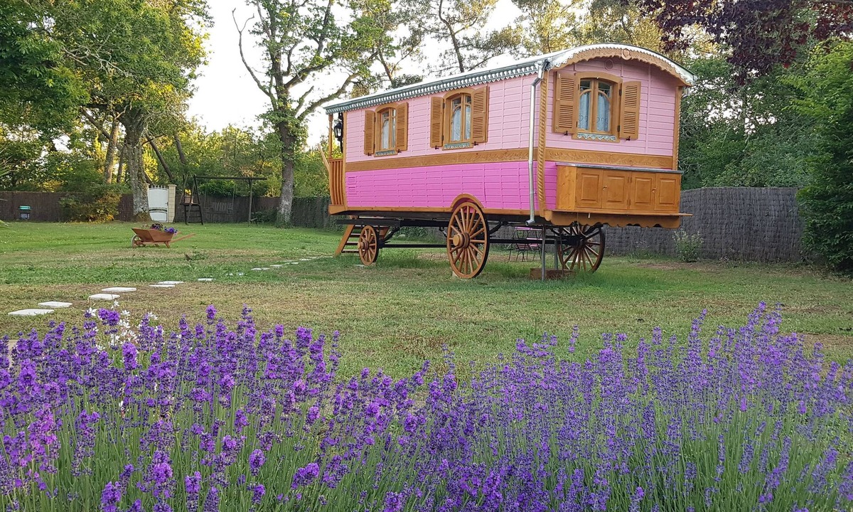 Bussac-Foret Bed & Breakfast | House