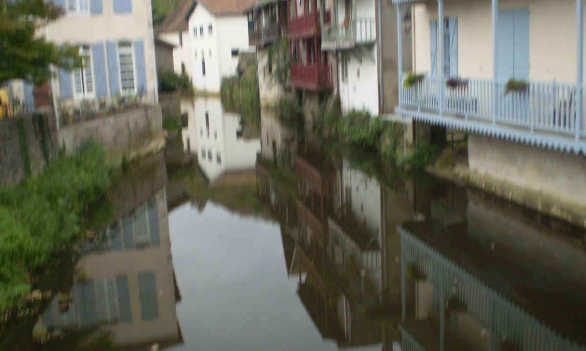 Salies-de-Bearn House | House ICHABELENIA